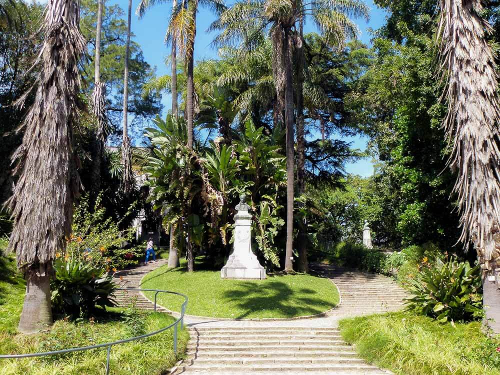 A staircase surrounded by various trees in the Botanical Garden. In the center, there is a grassy flowerbed with a statue. In the background, on the right side, another statue. On the left side, a person climbing the stairs.