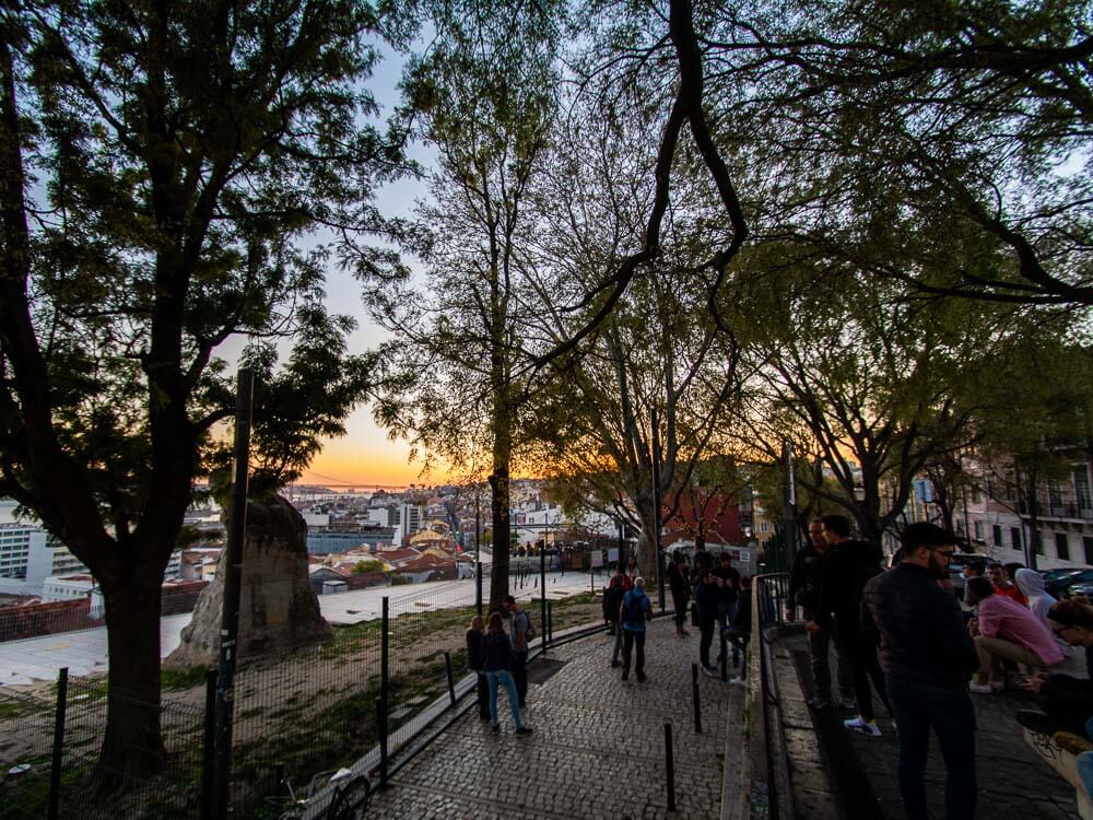 A viewpoint in Lisbon, with several people gathered to watch the sunset. There is a large spreading tree in the image, and a cobblestone alley.