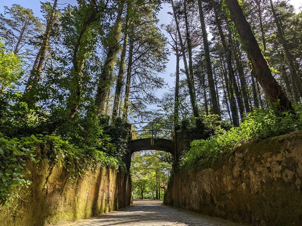 Part of the garden of Pena Palace. A bridge connects two higher parts, surrounded by trees. Below, a cobblestone path.