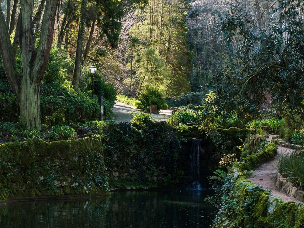 A lake with a small waterfall, surrounded by various trees and a dirt and stone path, in Pena Palace.