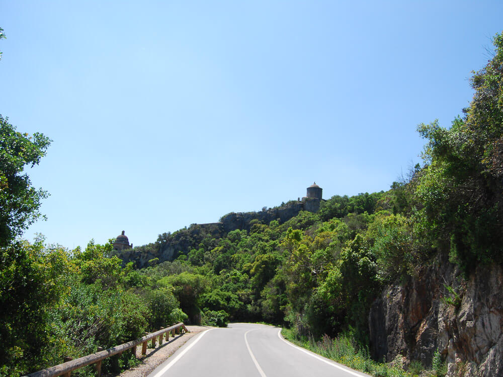 A road in Portugal surrounded by trees on a sunny, cloudless day.