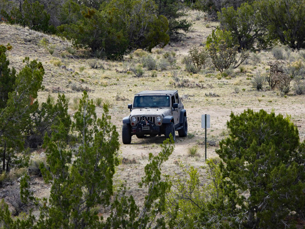 A beige 4x4 car driving through Mediterranean vegetation.

