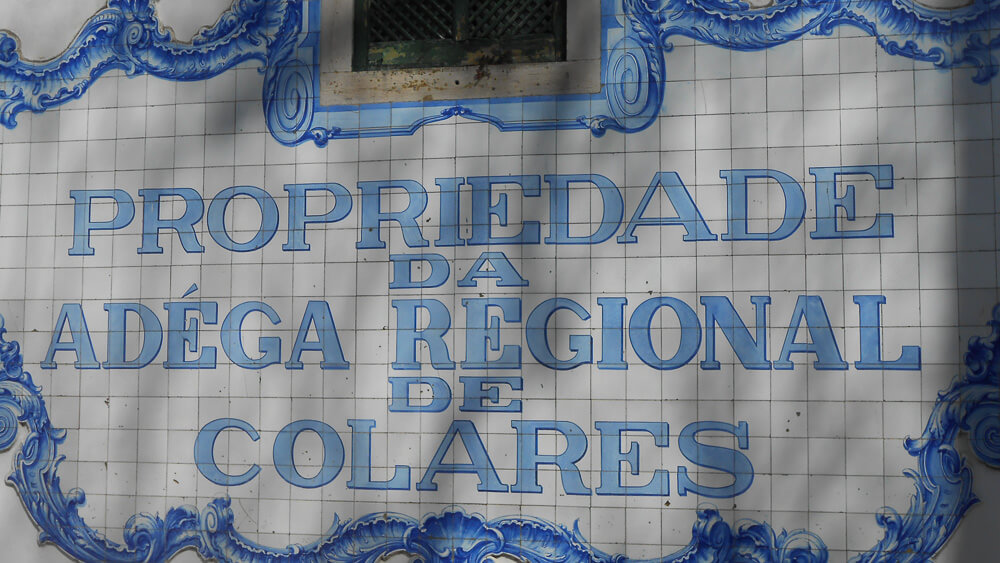 A wall of white tiles, with a blue drawn frame. Also in blue, it says "property of the regional winery of Colares."