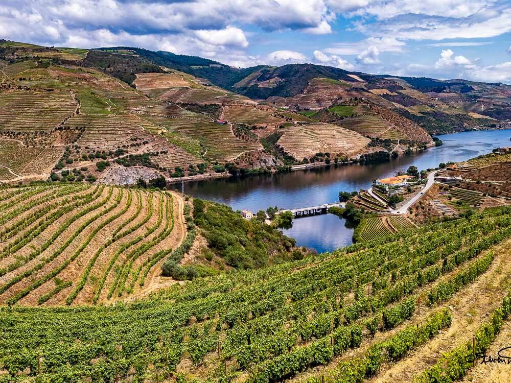 Top view of the Douro Valley, with the river in the center surrounded by vineyards.