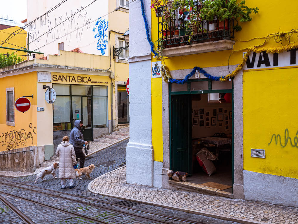 A quaint corner in Lisbon with brightly painted buildings, a couple walking their dogs, and a cozy café. The area is adorned with festive decorations.