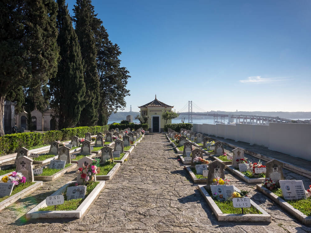 A serene pathway in Prazeres Cemetery with neatly arranged graves adorned with flowers, overlooking the Tagus River and the 25 de Abril Bridge in the background.