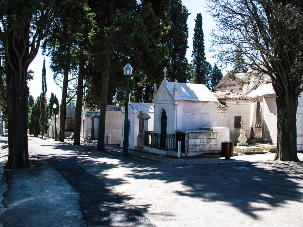 A quiet, shaded path in Prazeres Cemetery flanked by grand mausoleums and tall cypress trees, creating a peaceful atmosphere.