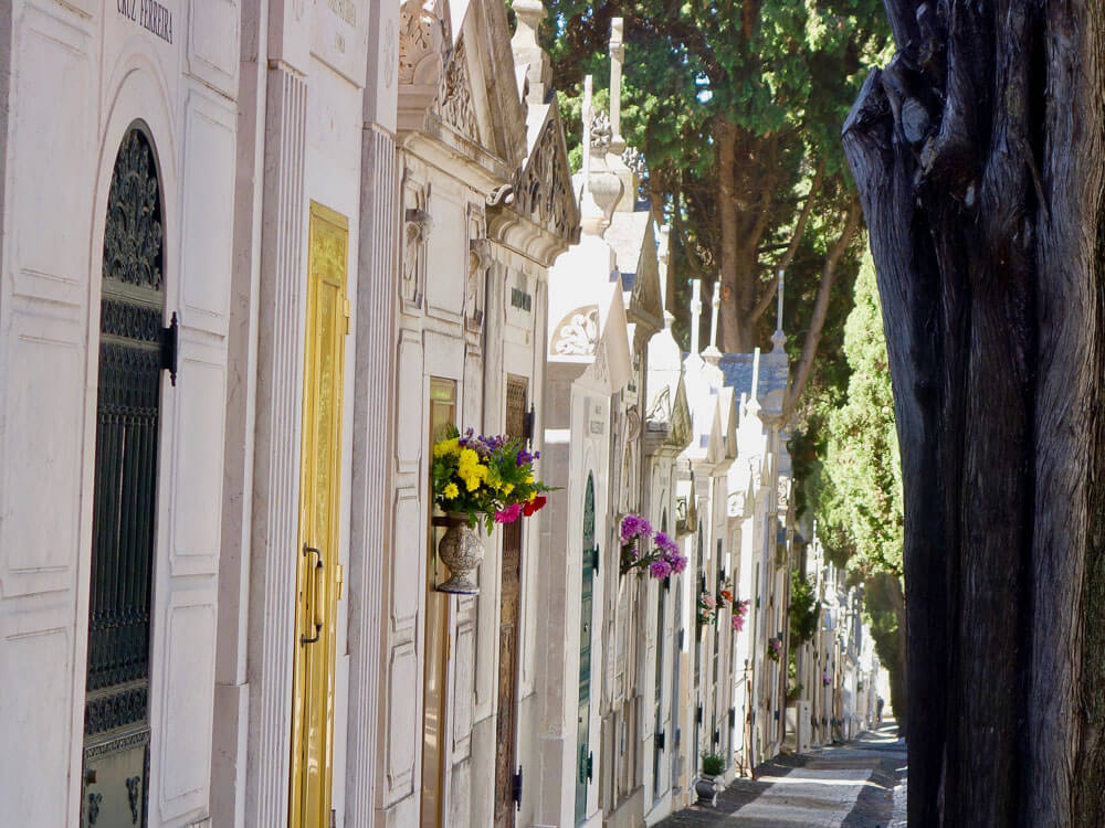 A close-up view of a row of ornate family mausoleums in Prazeres Cemetery, each adorned with fresh flowers and intricate architectural details.