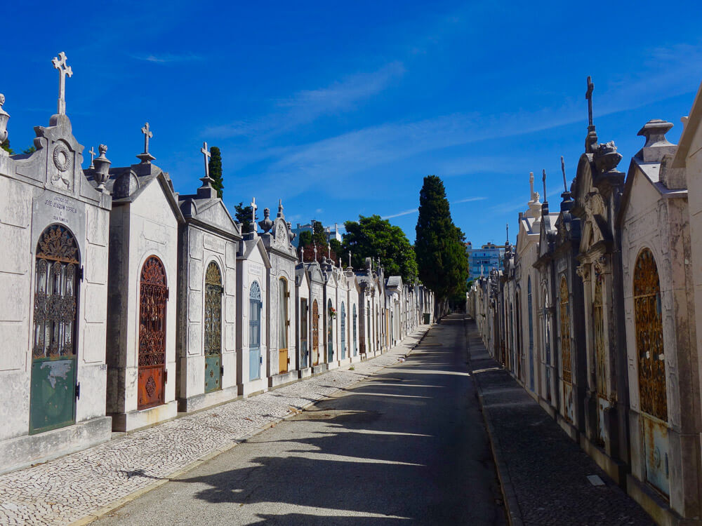 A long, straight path lined with elaborate tombs and mausoleums in Prazeres Cemetery, leading into the distance under a bright blue sky.