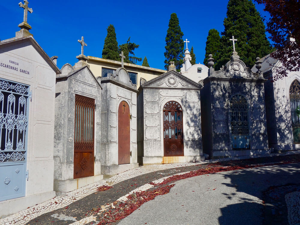 A row of family mausoleums in a Lisbon cemetery, each with unique doors and intricate designs. The path is lined with cobblestones and shaded by tall trees.