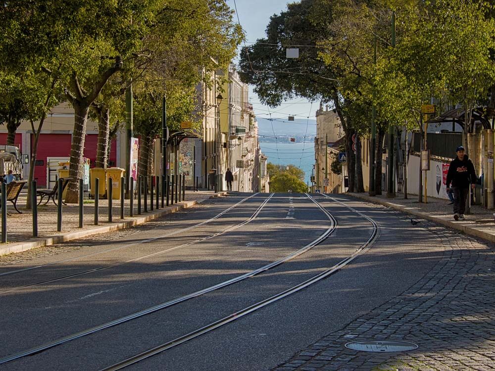 A street with tram tracks and trees on either side, leading down to the Tagus River in Lisbon.